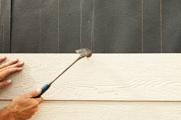 Best Stone Veneer Siding  in Flowing Wells, AZ